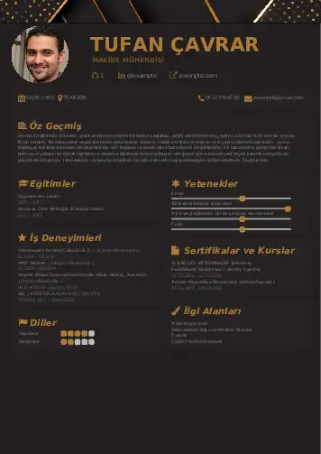 cv indir